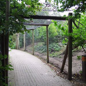 Swamp Wallaby enclosure
