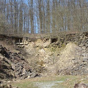 Inside the huge vulture aviary