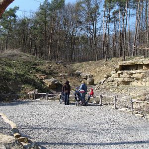 Inside the waldrapp aviary