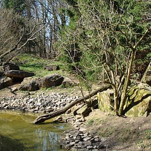 Raccoon/Ferret exhibit