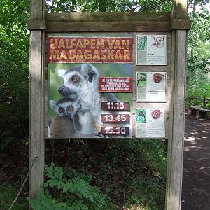Feeding presentation, Madagascar