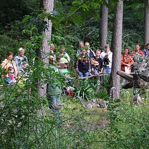 Feeding presentation, Madagascar
