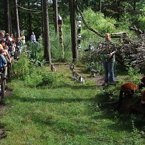 Feeding presentation, Madagascar