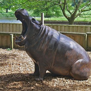 Hippo Sculpture