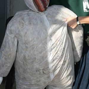 sylvester 1 year birthday