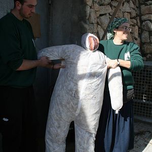 sylvester 1 year birthday