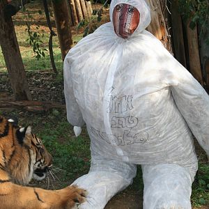 sylvester 1 year birthday