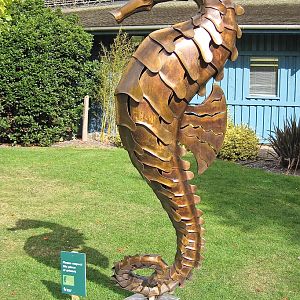 Sea Horse Sculpture