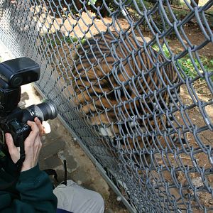 taking birthday picture
