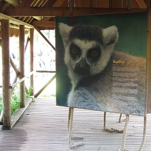 Madagascar Houses with educational boards