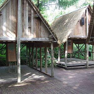 Madagascar Houses with educational boards