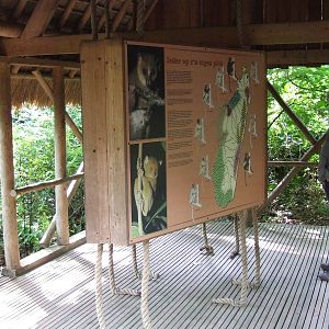 Madagascar Houses with educational boards