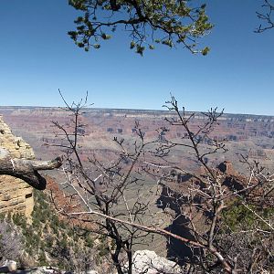 My Family Grand Canyon Trip