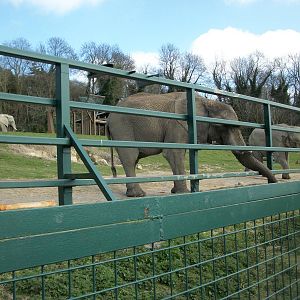 Port Lympne - All three together