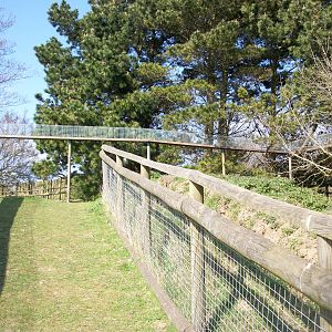 Port Lympne - Scottish Wildcat Walkway
