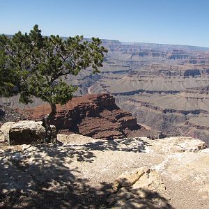 My Family Grand Canyon Trip
