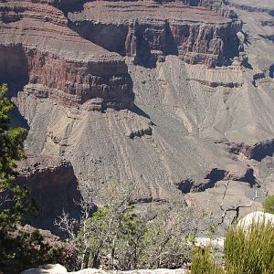 My Family Grand Canyon Trip