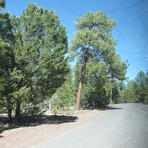 My Family Grand Canyon Trip