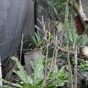 Flying High Bird Sanctuary