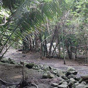 Flying High Bird Sanctuary