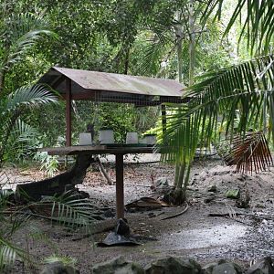 Flying High Bird Sanctuary