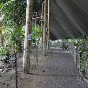 Flying High Bird Sanctuary