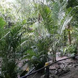 Flying High Bird Sanctuary