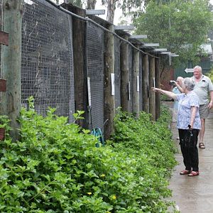 Flying High Bird Sanctuary