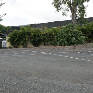 Flying High Bird Sanctuary