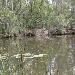 Flying High Bird Sanctuary