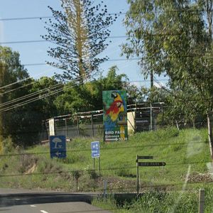 Flying High Bird Sanctuary