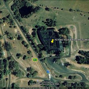 Flying High Bird Sanctuary