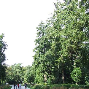 Natuurpark Berg & Bos