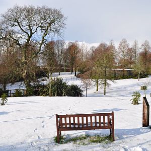 Snowtime - main lawn looking towards Jewels.