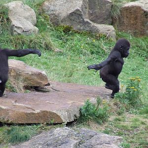 Little Mischief Makers