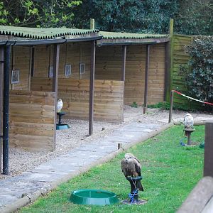 ENCLOSURE ALL ROUND BUILDINGS 8