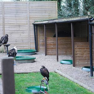 ENCLOSURE ALL ROUND BUILDINGS 9