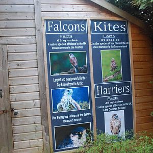 ENCLOSURE ALL ROUND BUILDINGS 15