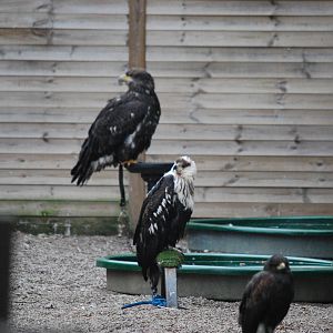 ENCLOSURE ALL ROUND BUILDINGS 23