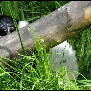 Slaski Ogrod Zoologiczny