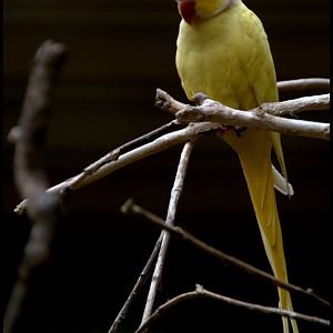 Slaski Ogrod Zoologiczny