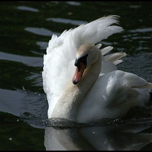 Slaski Ogrod Zoologiczny