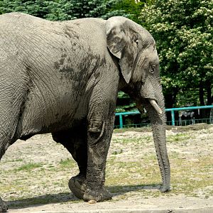 Slaski Ogrod Zoologiczny