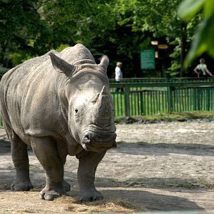 Slaski Ogrod Zoologiczny