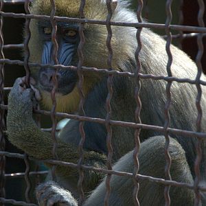 Slaski Ogrod Zoologiczny