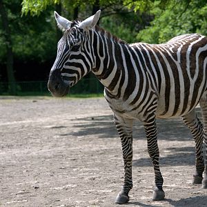 Slaski Ogrod Zoologiczny