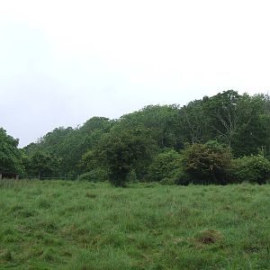 Malayan Tapir enclosure