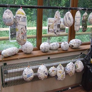 Animal Enrichment Workshop