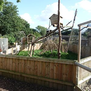 Axe Valley Bird and Animal Park