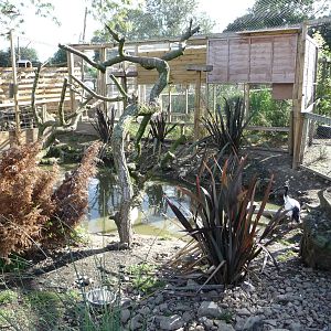 Axe Valley Bird and Animal Park